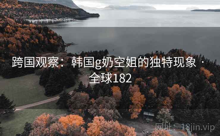 跨国观察：韩国g奶空姐的独特现象 · 全球182