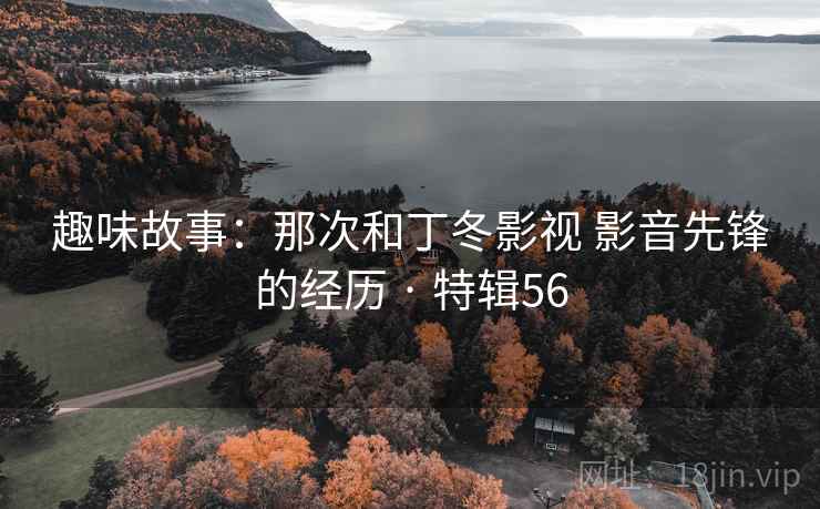 趣味故事：那次和丁冬影视 影音先锋的经历 · 特辑56